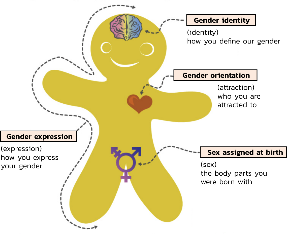 Genderbread person