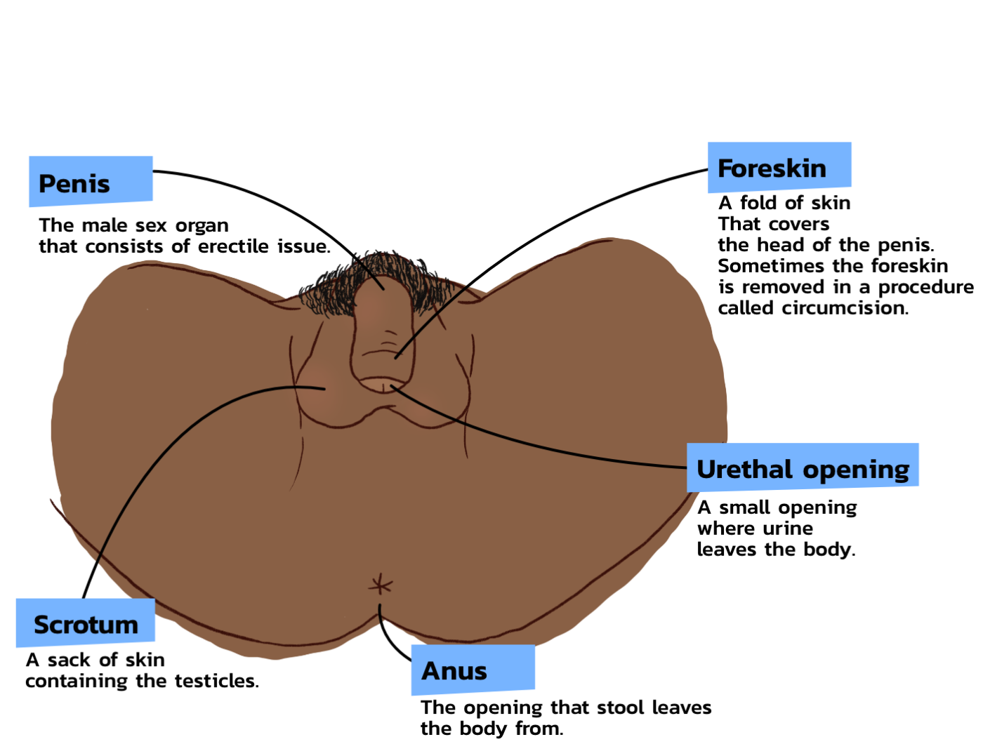 Outside Details - Male